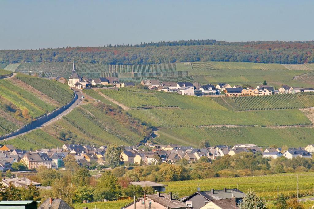Restaurant Moselblick Wintrich